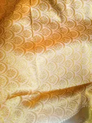 Close up of the aanchal