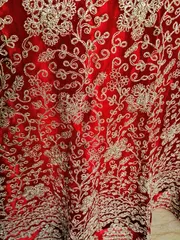 Tomato Red Net Lehenga with Intricate Zari work - Semi Stitched