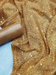 Beige Coloured Georgette Saree with Heavy Sequence work