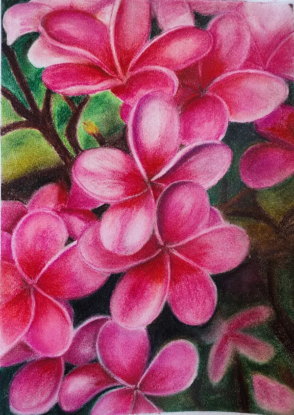 Frangipani , a soft pastel painting on paper