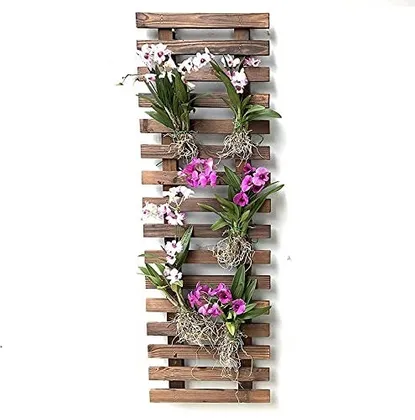 Buy 29 x 5 x 90 cm - Wooden Hanging Wall Frame/Planter Stand (Single) -Brown Online | Urvann.com