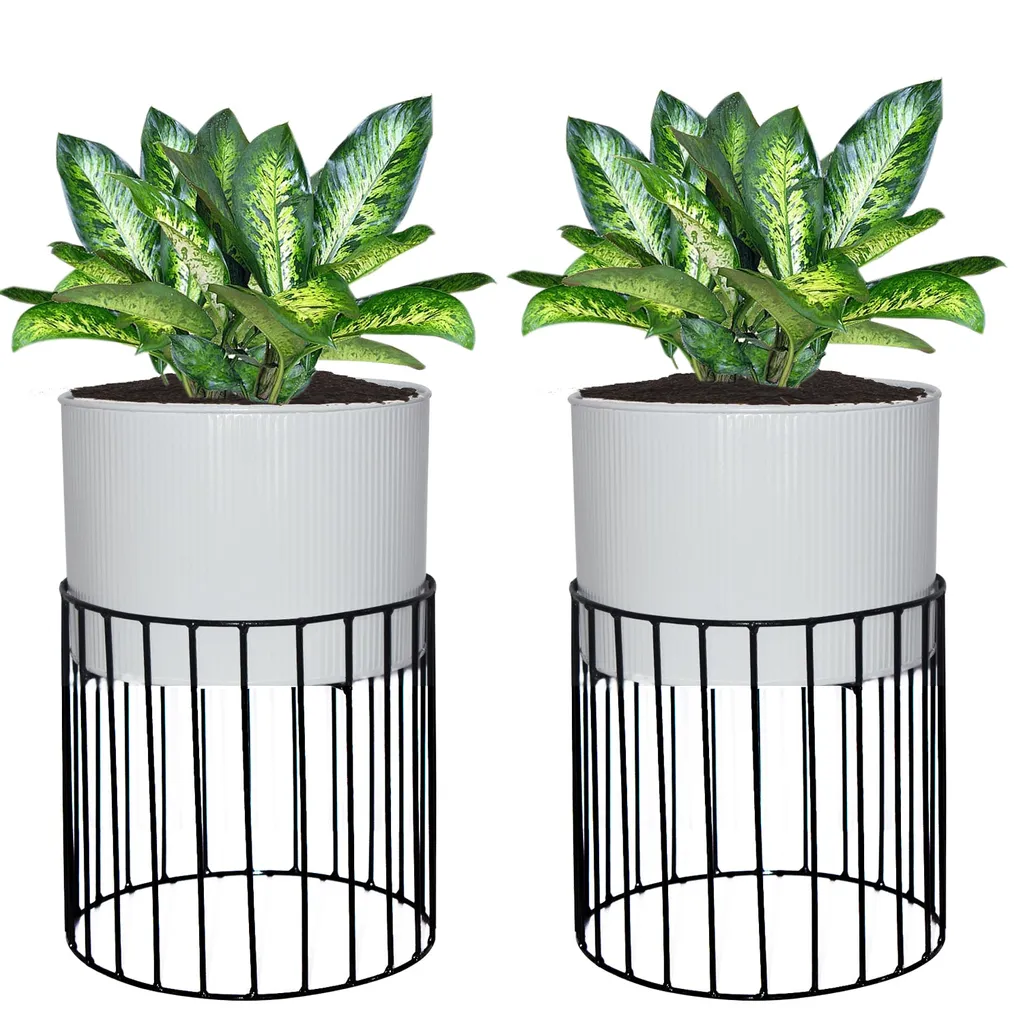 Set of 2 - Protracted Metal wire based Planter stand with Metal Planters - White
