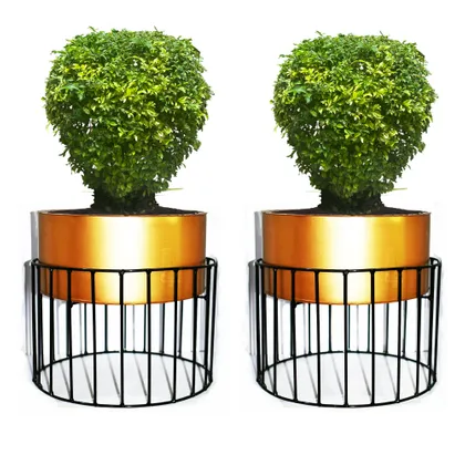 Buy Set of 2 - Metal wire based Planter stand with Pots Online | Urvann.com