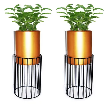 Buy Set of 2 - Long Neck Metal wire based Planter Stand with Pot Online | Urvann.com