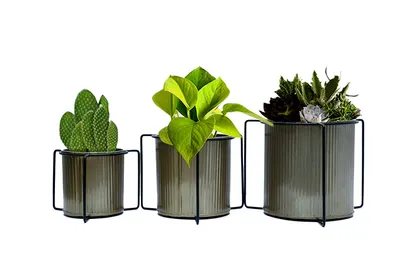 Buy 7, 6, 5 Inch - Mug Shape Planter Stand with Gold Bucket Pot Online | Urvann.com