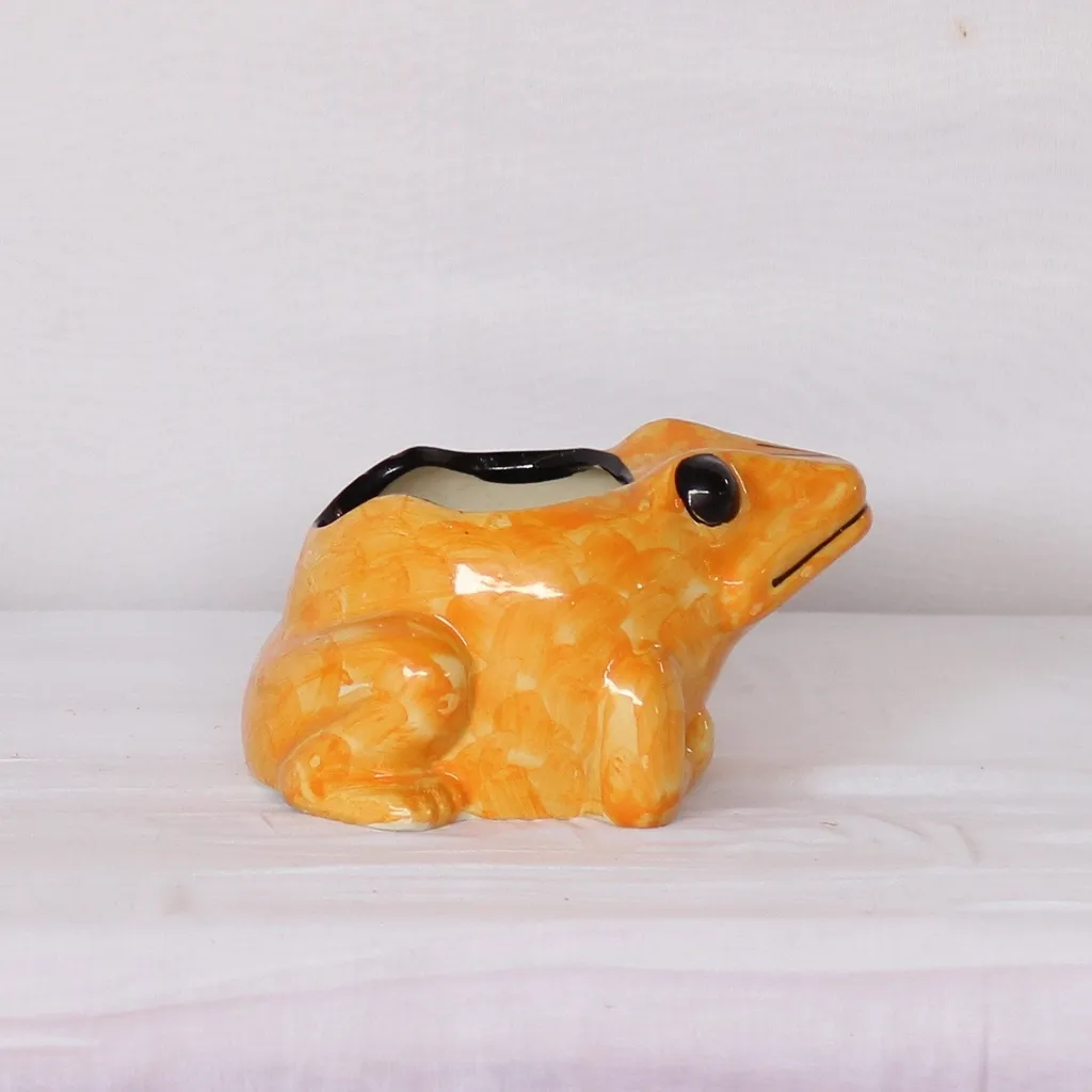 5X5 Inch Orange Frog Ceramic Planter