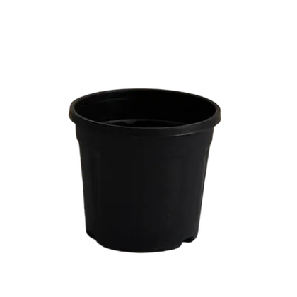 Buy 10 Inch Nursery Pot - Black Online | Urvann.com