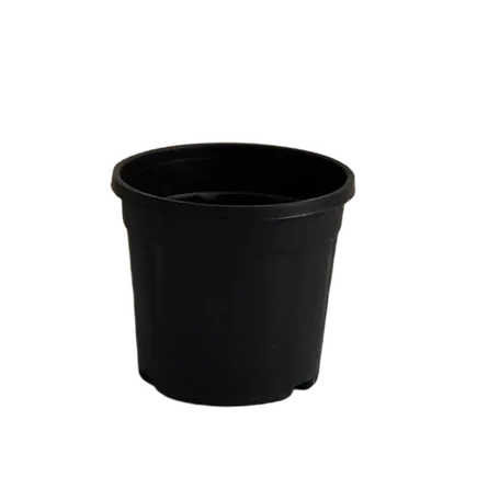 8 Inch Nursery Pot - Black