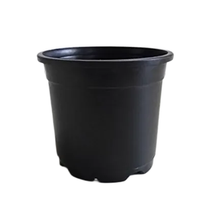 Buy 6 Inch Nursery Pot - Black Online | Urvann.com