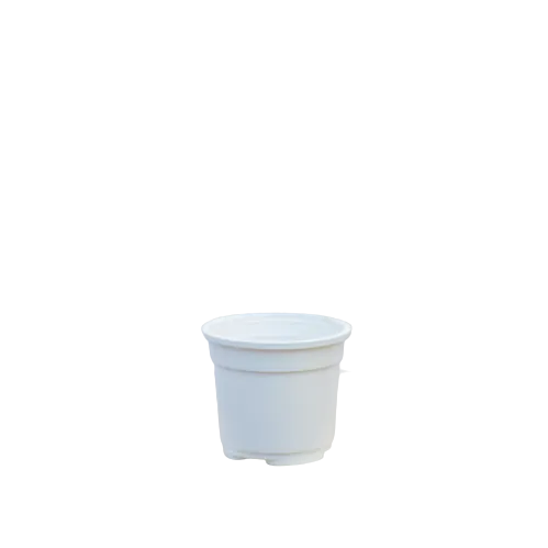 5X5 Inch Plastic Pot - White