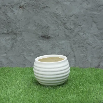 Buy Table-Top Cycle Fiberglass Planter-White-6 Inches Online | Urvann.com