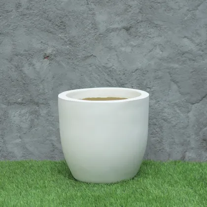 Buy Cup Fiberglass Planter-White-12 Inches Online | Urvann.com