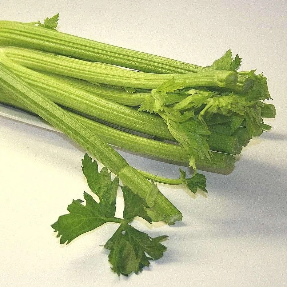 Celery Hybrid Seeds (Imported) - Excellent Germination
