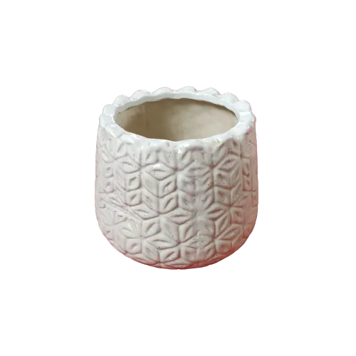 8x6 Inch Ceramic FLOWER Pot