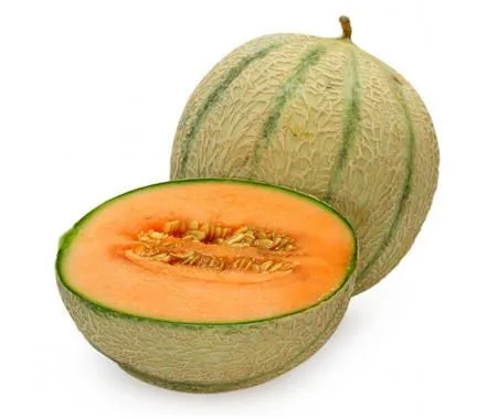Musk Melon Hybrid Seeds - Excellent Germination