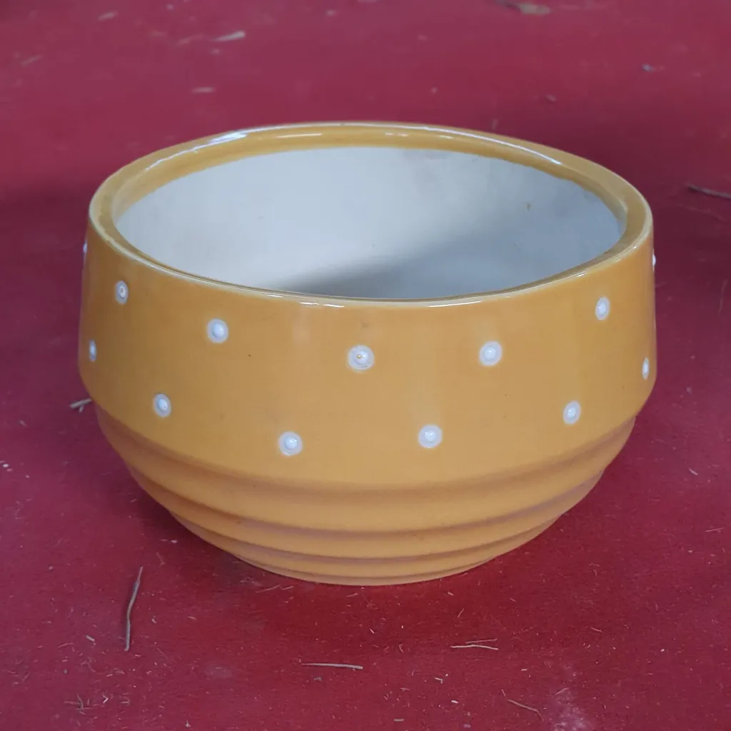 7 inch Yellow Polka Bonsai Ring Ceramic Planter