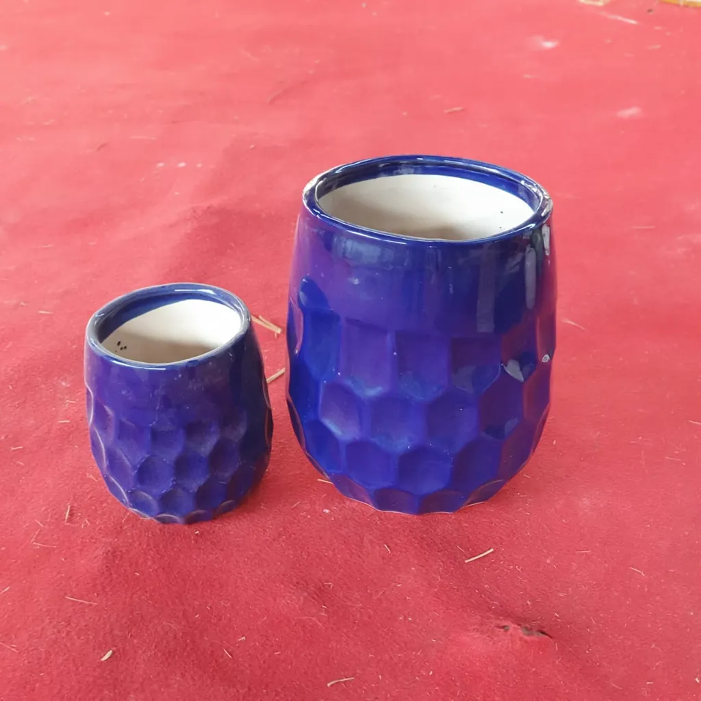 Set of 2 - 9 * 6.5 and 6 * 4 inch Blue Ananas Ceramic Planters