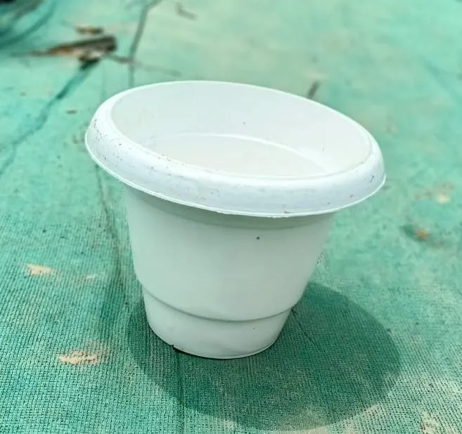 8 Inch Pot - White Plastic Round Planter