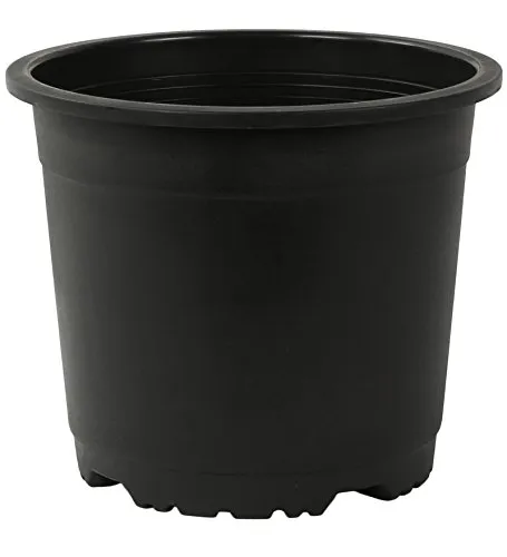 6 inch - Black Nursery Pot