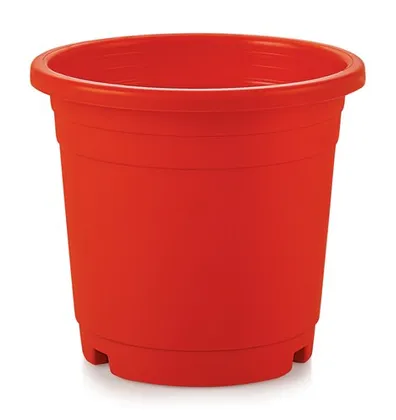Buy 6 inch - Red Nursery Pot Online | Urvann.com