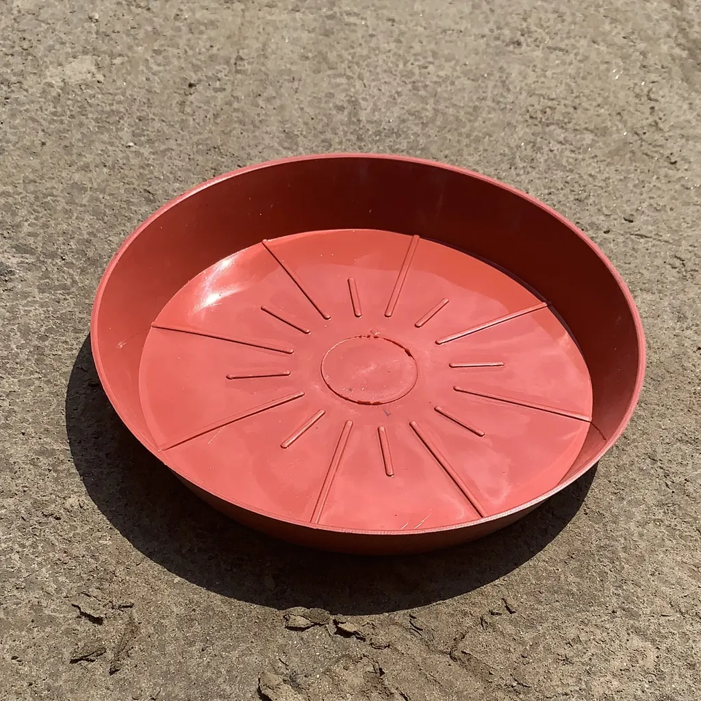 8 inch Red Plastic Tray