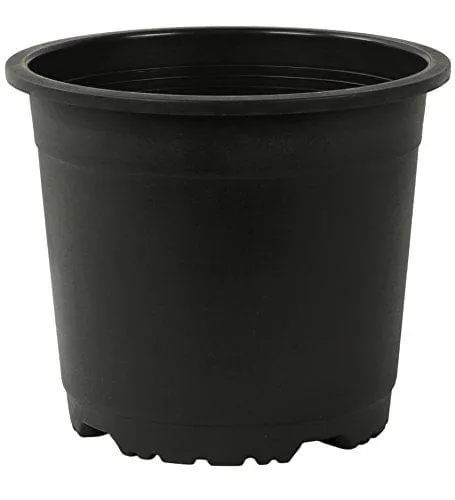 8 Inch Black Nursery Plastic Pots