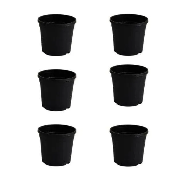 Set of 6 - 6 Inch Black Round Plastic Pot
