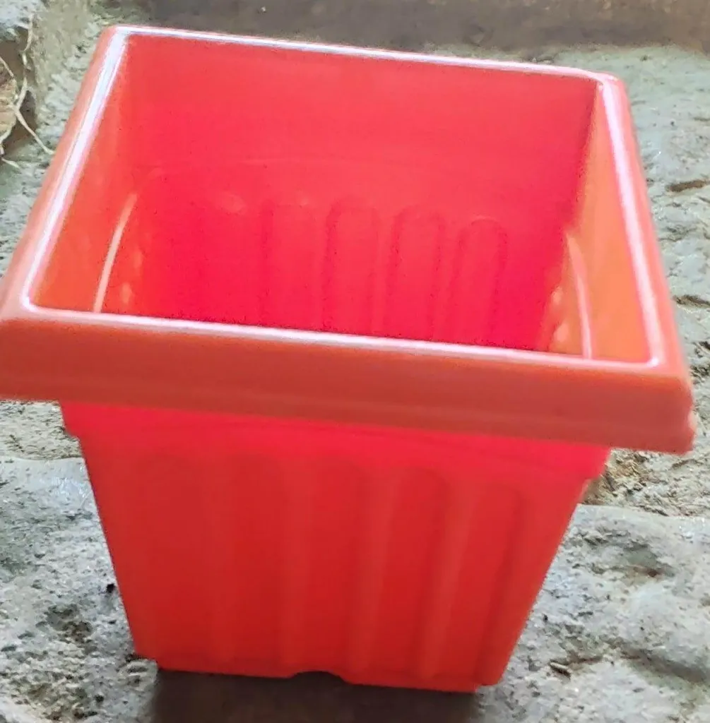 6 Inch Plastic Pot