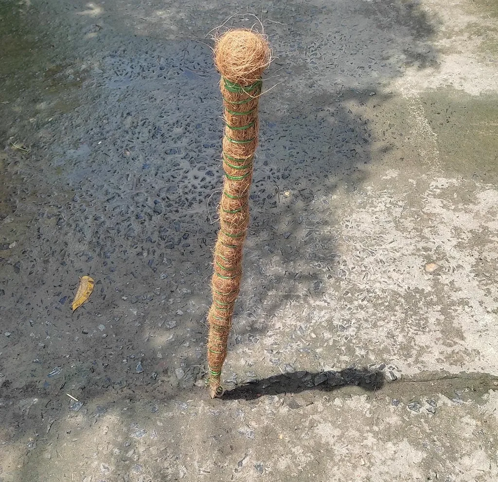 Moss stick - 2 ft