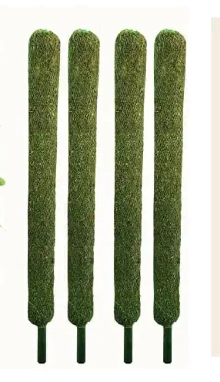 1-Moss Stick - 3 feet