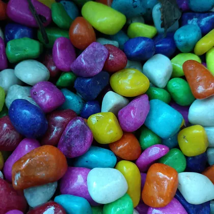 Buy Colourful Pebbles - 1 kg Online | Urvann.com