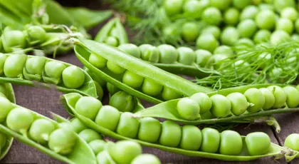 Buy Peas Seeds - Excellent Germination Online | Urvann.com