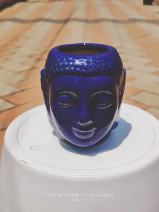 Buy 6 Inch Elegant Buddha Designer Ceramic Pot Online | Urvann.com