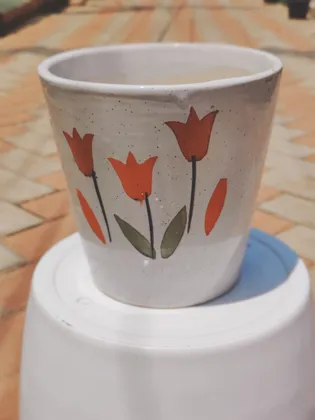 Buy 8 Inch Designer Ceramic Pot Online | Urvann.com