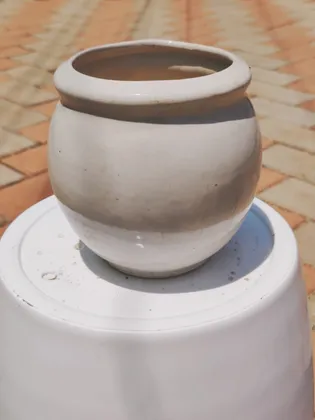 Buy 8 Inch Yellow Classy Handi Ceramic Pot Online | Urvann.com