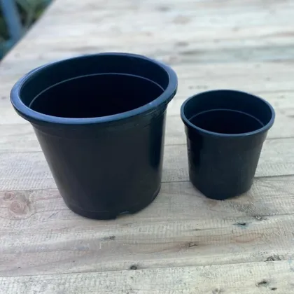 Buy Set of 2 - 5 & 8 Inch Black Nursery Pot Online | Urvann.com