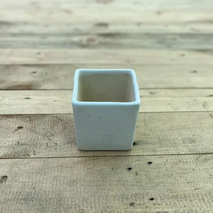 Buy 4 X 5 Inch White Classy Square Ceramic Pot Online | Urvann.com