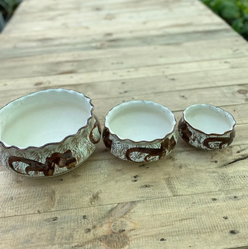 Set of 3 - (8, 6 & 4 ) Inch Brown Designer Ceramic Bowl