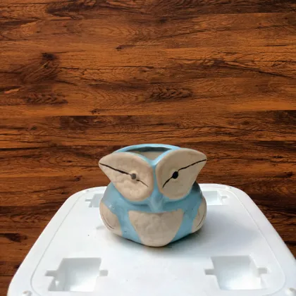 Buy 3 Inch Cute Owl Designer Ceramic Pot (colour may vary) Online | Urvann.com
