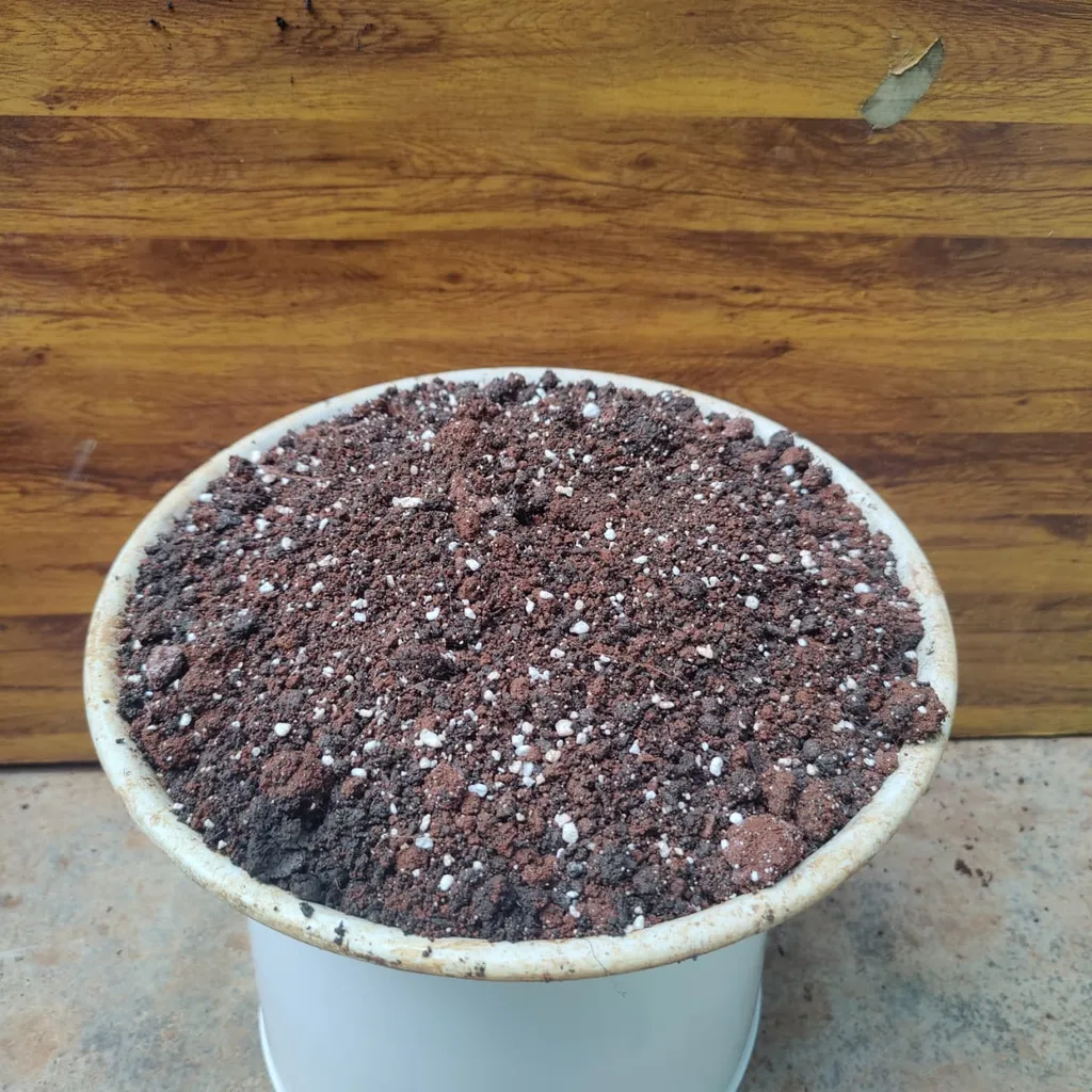 Potting Mix - (Mixture of Perlite,Cocopeat, Compost & Soil) - 5 kg