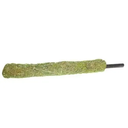 Buy Moss Stick - 3 Ft Online | Urvann.com