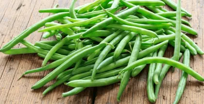 Buy Beans seeds - Excellent Germination Online | Urvann.com