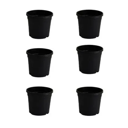 Buy Set of 6 - 6 inch Black Nursery Pot Online | Urvann.com
