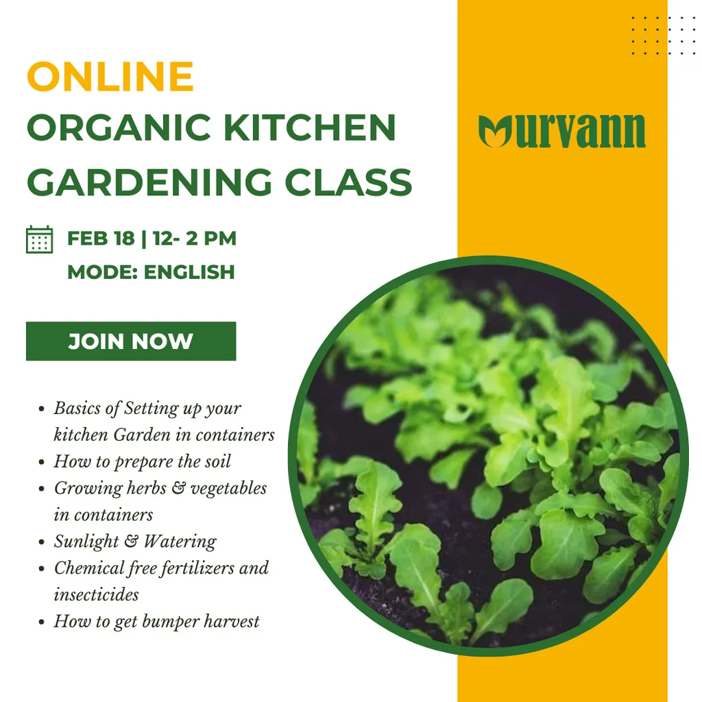 Urvann Certified Live Online Organic Kitchen Gardening Workshop (Only 50 seats available), Feb 18, 12-2 PM