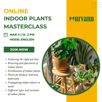 Urvann Certified Live Online Indoor Plants Masterclass Workshop (Only 50 seats available), May 6, 12-2 PM