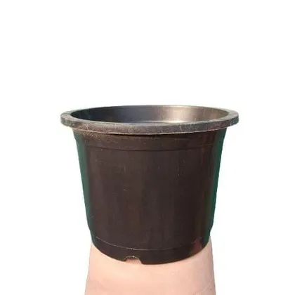 Buy 12 Inch Black Plastic Nursery Pot Online | Urvann.com