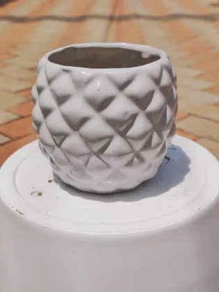 Buy 6 Inch White Ceramic Pineapple Pot Online | Urvann.com