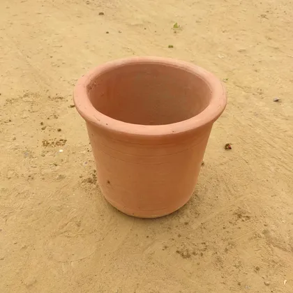 Buy 8 Inch Classy Clay Pot Online | Urvann.com