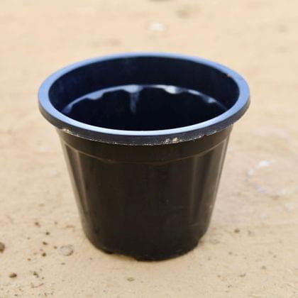 Buy 10 Inch Black Nursery Pot Online | Urvann.com