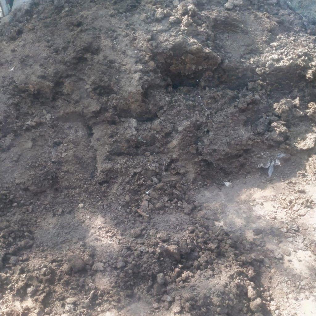 Cow Dung Compost 5 Kg